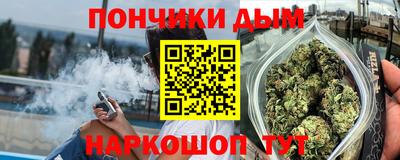 крисы Будённовск