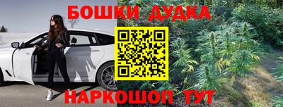 крисы Будённовск