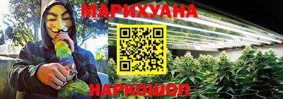 крисы Будённовск