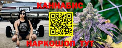 крисы Будённовск
