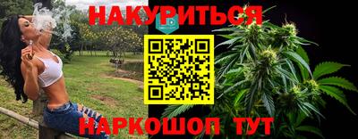 крисы Будённовск