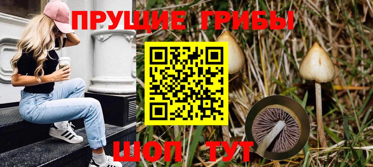 Старый Оскол  Галлюциногенные грибы Psilocybe  Вход с VPN  Псилоцибиновые грибы Psilocybe 