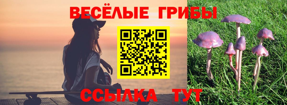 Псилоцибиновые грибы прущие грибы Старый Оскол